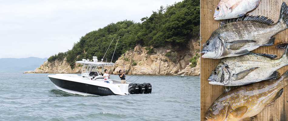 ドンジーで行く魚釣りプラン(釣り道具一式貸出えさ込)