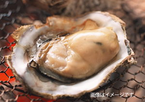 牡蠣