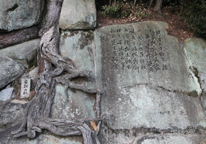 文学のこみち「岩割の松」